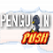 Penguin Push (Oynama:1301)