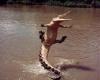 Leaping Alligator (hit:1541)